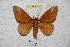  ( - BC-RBP 4561)  @13 [ ] Copyright (2010) Ron Brechlin Unspecified