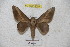  ( - BC-RBP 4574)  @13 [ ] Copyright (2010) Ron Brechlin Unspecified
