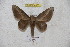  ( - BC-RBP 4576)  @13 [ ] Copyright (2010) Ron Brechlin Unspecified