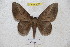  ( - BC-RBP 4577)  @13 [ ] Copyright (2010) Ron Brechlin Unspecified