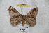  ( - BC-RBP 4595)  @13 [ ] Copyright (2010) Ron Brechlin Unspecified
