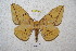  ( - BC-RBP 4606)  @14 [ ] Copyright (2010) Ron Brechlin Unspecified