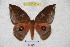  ( - BC-RBP 4716)  @13 [ ] Copyright (2010) Ron Brechlin Unspecified