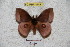  ( - BC-RBP 4747)  @13 [ ] Copyright (2010) Ron Brechlin Unspecified