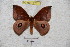  ( - BC-RBP 4751)  @15 [ ] Copyright (2010) Ron Brechlin Unspecified