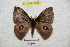  ( - BC-RBP 4764)  @13 [ ] Copyright (2010) Ron Brechlin Research Collection of Ron Brechlin