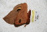  ( - BC-RBP 4777)  @12 [ ] Copyright (2010) Ron Brechlin Research Collection of Ron Brechlin