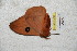  ( - BC-RBP 4779)  @12 [ ] Copyright (2010) Ron Brechlin Research Collection of Ron Brechlin