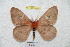  ( - BC-RBP 4808)  @14 [ ] Copyright (2010) Ron Brechlin Research Collection of Ron Brechlin