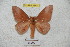  ( - BC-RBP 4864)  @11 [ ] Copyright (2010) Ron Brechlin Research Collection of Ron Brechlin