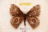  ( - BC-RBP 4900)  @13 [ ] Copyright (2010) Ron Brechlin Research Collection of Ron Brechlin