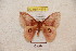  ( - BC-RBP 4903)  @13 [ ] Copyright (2010) Ron Brechlin Research Collection of Ron Brechlin