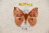  ( - BC-RBP 4904)  @13 [ ] Copyright (2010) Ron Brechlin Research Collection of Ron Brechlin