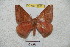  ( - BC-RBP 4918)  @13 [ ] Copyright (2010) Ron Brechlin Research Collection of Ron Brechlin
