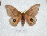  ( - BC-HKT 0015)  @11 [ ] Copyright (2011) Ron Brechlin Research Collection of Ron Brechlin