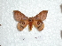  ( - BC-HKT 0018)  @14 [ ] Copyright (2011) Ron Brechlin Research Collection of Ron Brechlin