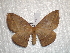  ( - BC-HKT 0075)  @13 [ ] Copyright (2010) Ron Brechlin Research Collection of Ron Brechlin