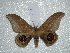  ( - BC-HKT 0111)  @12 [ ] Copyright (2012) Ron Brechlin Research Collection of Ron Brechlin