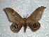  ( - BC-HKT 0112)  @13 [ ] Copyright (2012) Ron Brechlin Research Collection of Ron Brechlin