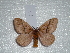 ( - BC-HKT 0125)  @13 [ ] Copyright (2012) Ron Brechlin Research Collection of Ron Brechlin