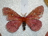  ( - BC-HKT 0130)  @12 [ ] Copyright (2012) Ron Brechlin Research Collection of Ron Brechlin