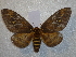  ( - BC-HKT 0141)  @14 [ ] Copyright (2012) Ron Brechlin Research Collection of Ron Brechlin