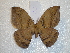  ( - BC-HKT 0153)  @13 [ ] Copyright (2012) Ron Brechlin Research Collection of Ron Brechlin