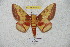  ( - BC-RBP 6001)  @14 [ ] Copyright (2010) Ron Brechlin Research Collection of Ron Brechlin