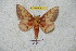  ( - BC-RBP 6002)  @14 [ ] Copyright (2010) Ron Brechlin Research Collection of Ron Brechlin