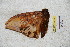  ( - BC-RBP 6026)  @12 [ ] Copyright (2010) Ron Brechlin Research Collection of Ron Brechlin