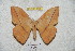  ( - BC-RBP 6048)  @14 [ ] Copyright (2010) Ron Brechlin Research Collection of Ron Brechlin