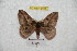  ( - BC-RBP 6101)  @13 [ ] Copyright (2010) Ron Brechlin Research Collection of Ron Brechlin