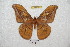  ( - BC-RBP 6144)  @14 [ ] Copyright (2010) Ron Brechlin Research Collection of Ron Brechlin