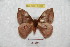  ( - BC-RBP 6188)  @13 [ ] Copyright (2010) Ron Brechlin Research Collection of Ron Brechlin