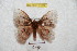 ( - BC-RBP 6189)  @13 [ ] Copyright (2010) Ron Brechlin Research Collection of Ron Brechlin