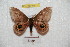  ( - BC-RBP 6211)  @13 [ ] Copyright (2010) Ron Brechlin Research Collection of Ron Brechlin