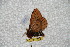  ( - BC-RBP 6292)  @13 [ ] Unspecified (default): All Rights Reserved  Ron Brechlin Unspecified