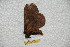  ( - BC-RBP 6300)  @12 [ ] Unspecified (default): All Rights Reserved  Ron Brechlin Unspecified