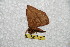  ( - BC-RBP 6318)  @12 [ ] Unspecified (default): All Rights Reserved  Ron Brechlin Unspecified