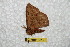  ( - BC-RBP 6319)  @12 [ ] Unspecified (default): All Rights Reserved  Ron Brechlin Unspecified