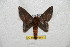  ( - BC-RBP 6354)  @14 [ ] Unspecified (default): All Rights Reserved  Ron Brechlin Unspecified