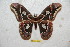  ( - BC-RBP 6368)  @14 [ ] Unspecified (default): All Rights Reserved  Ron Brechlin Unspecified