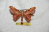  ( - BC-RBP 6369)  @13 [ ] Unspecified (default): All Rights Reserved  Ron Brechlin Unspecified