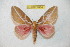  ( - BC-RBP 6404)  @14 [ ] Copyright (2012) Ron Brechlin Research Collection of Ron Brechlin