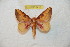  ( - BC-RBP 6413)  @14 [ ] Copyright (2012) Ron Brechlin Research Collection of Ron Brechlin