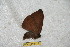  ( - BC-RBP 6422)  @12 [ ] Copyright (2012) Ron Brechlin Research Collection of Ron Brechlin