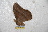  ( - BC-RBP 6431)  @13 [ ] Copyright (2012) Ron Brechlin Research Collection of Ron Brechlin