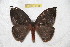 ( - BC-RBP 6445)  @14 [ ] Copyright (2012) Ron Brechlin Research Collection of Ron Brechlin