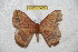  ( - BC-RBP 6456)  @13 [ ] Copyright (2012) Ron Brechlin Research Collection of Ron Brechlin