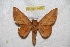  ( - BC-RBP 6469)  @13 [ ] Copyright (2012) Ron Brechlin Research Collection of Ron Brechlin